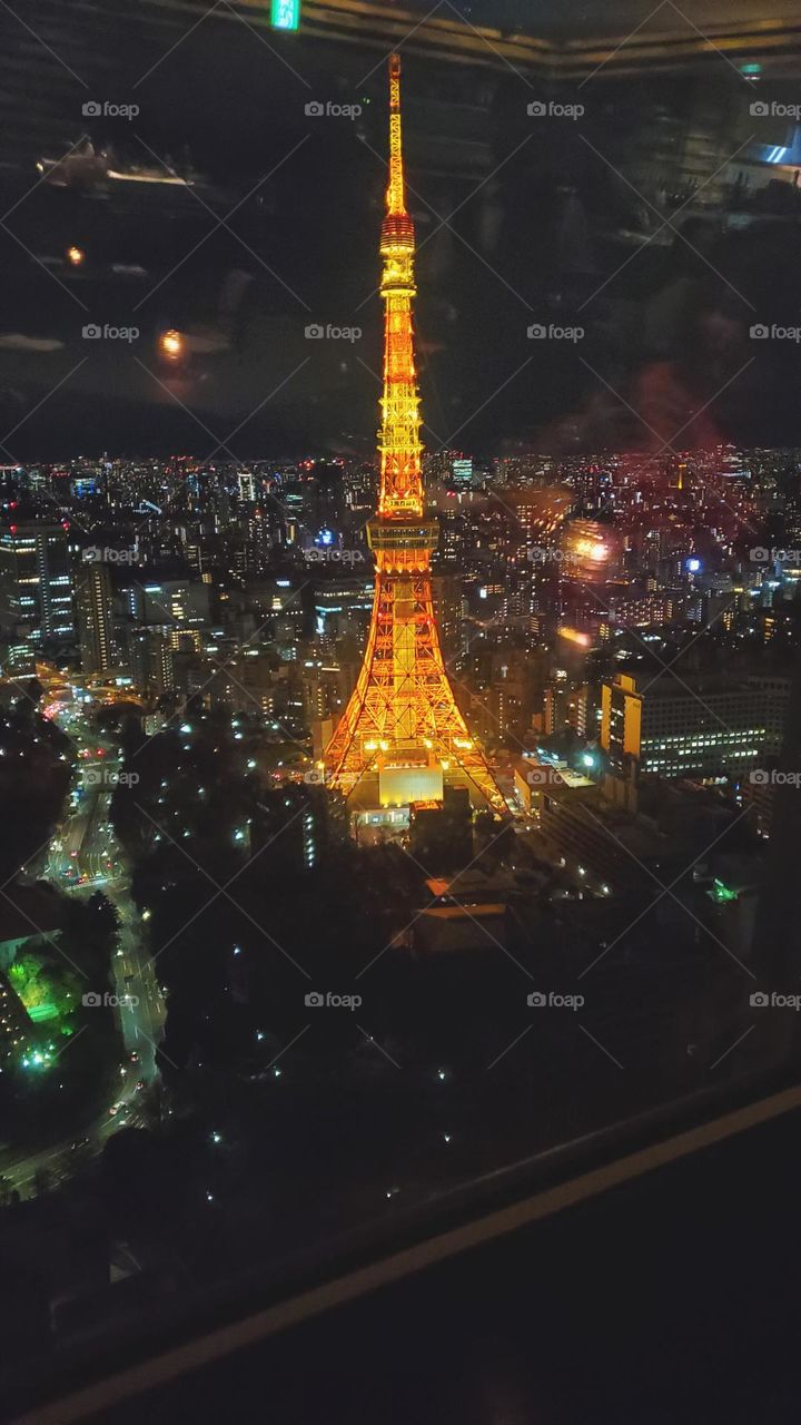 a rare view of tokyo tower