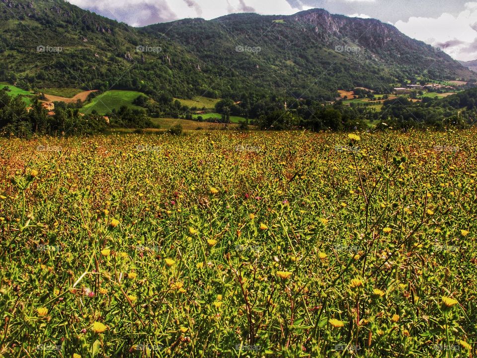 Pyrenees. Ariege 