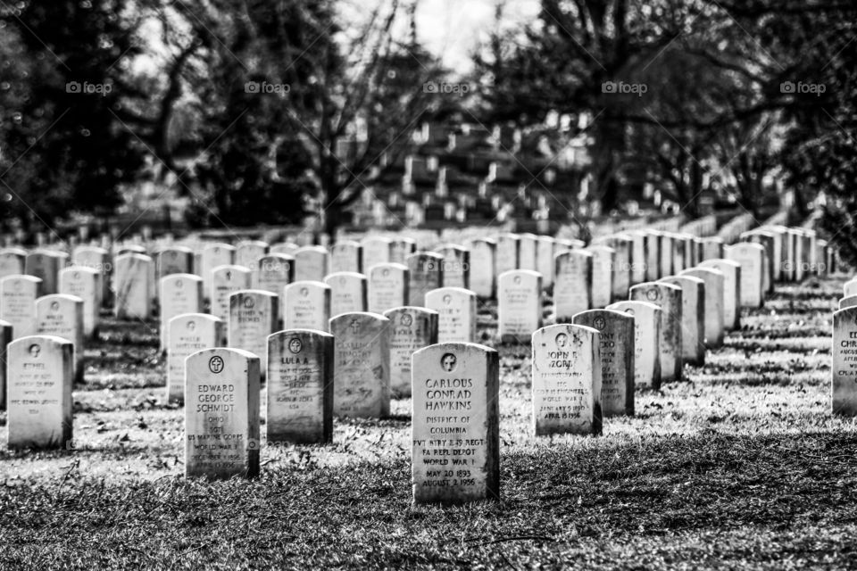Picture of tombstones from the Arlington National Cemetery