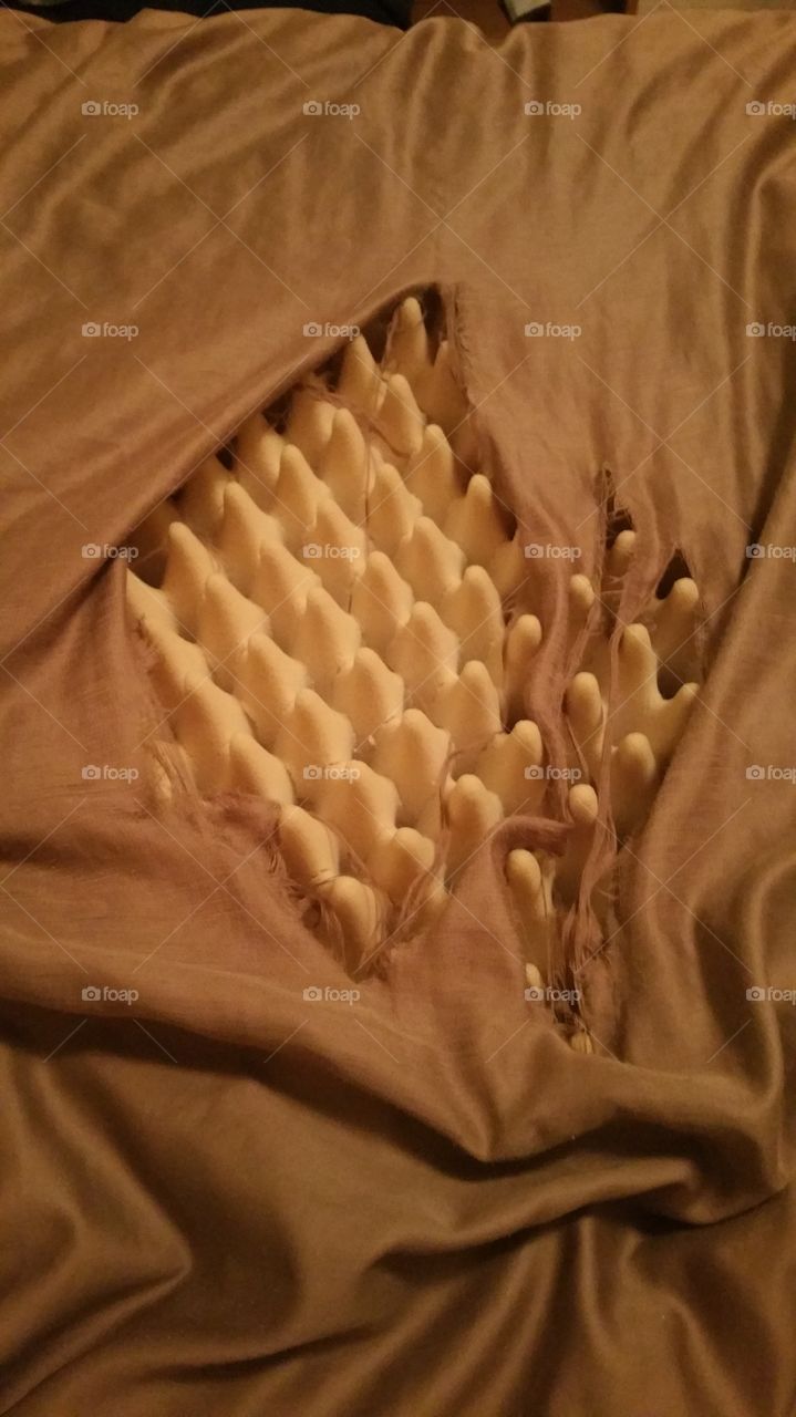 bed foam