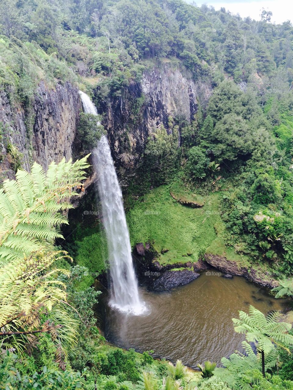 Bridal falls, New Zealand . Water fall