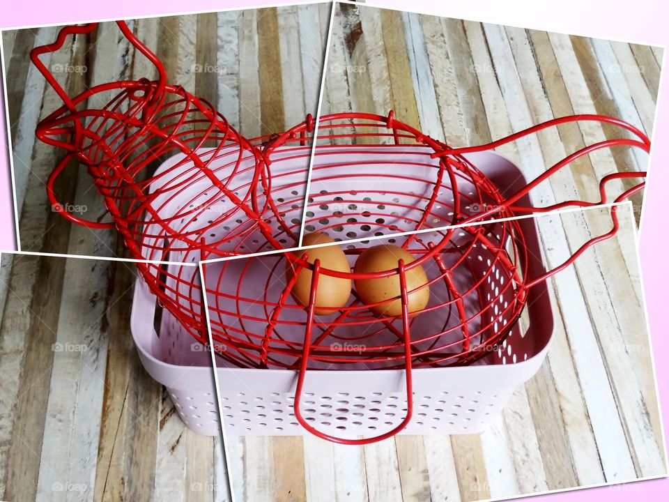 Red chicken and studies on eggs