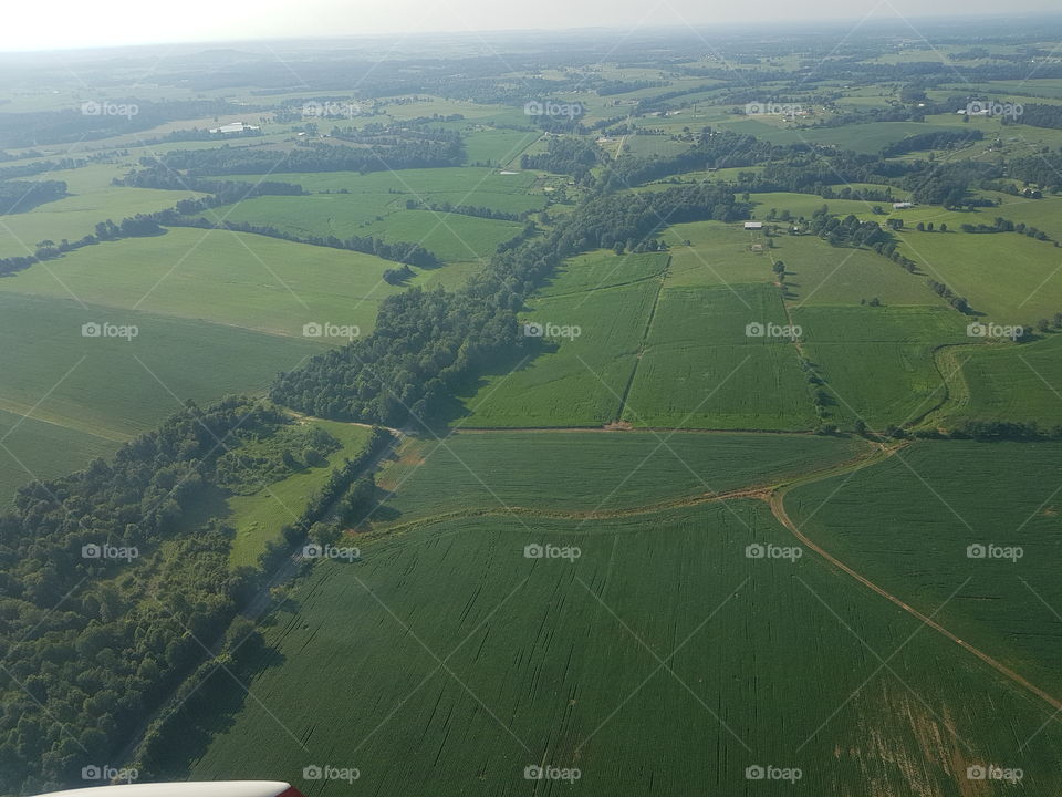 Rural Green aerial landscape with forest and crops