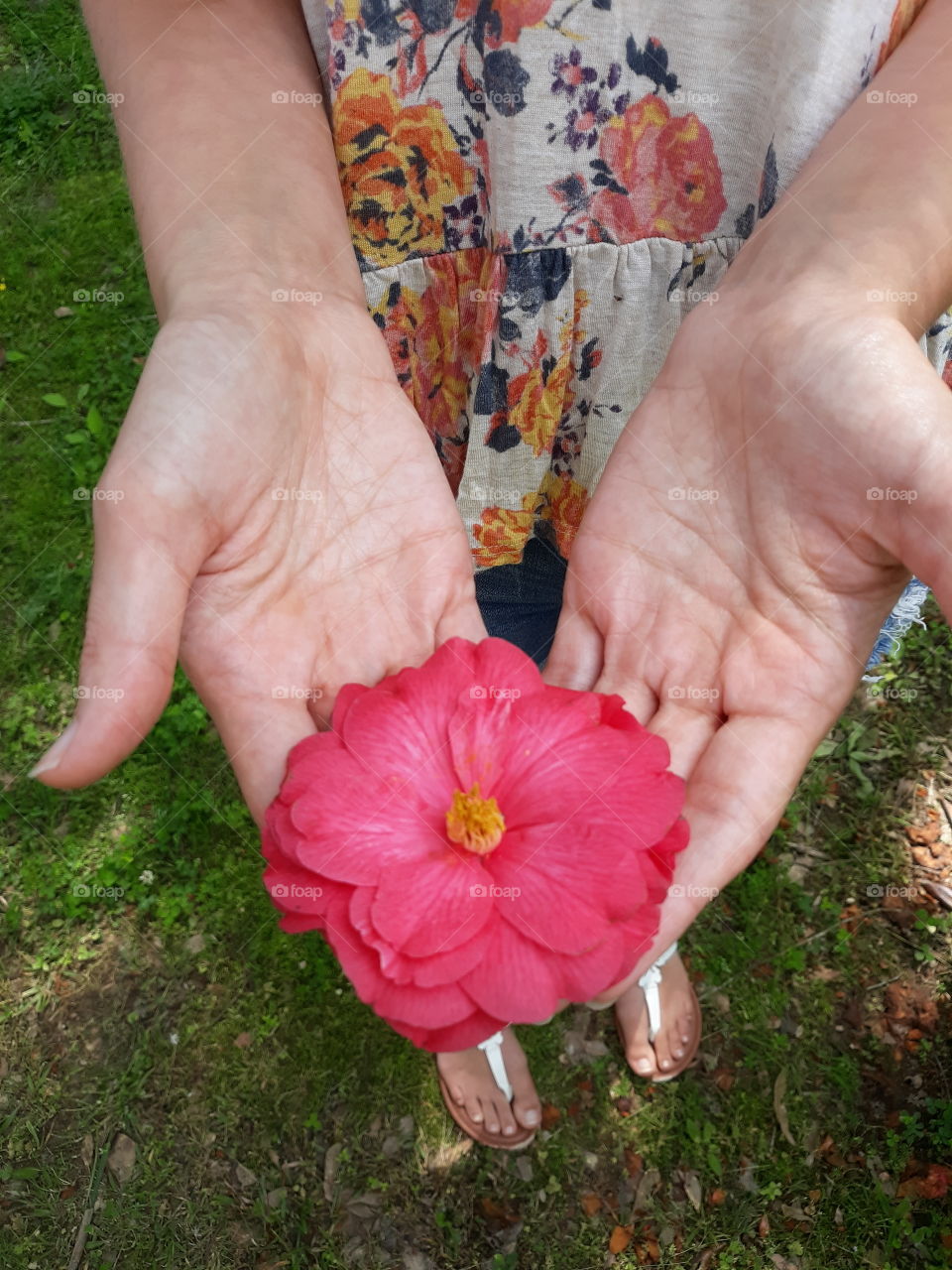 Does anyone know the name of this flower?