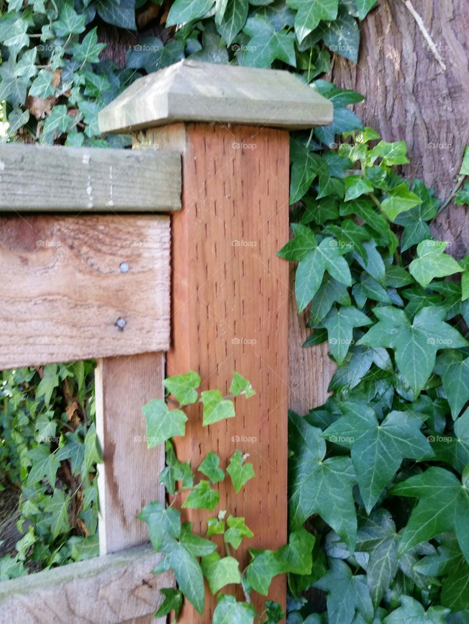 Fence post with Foliage