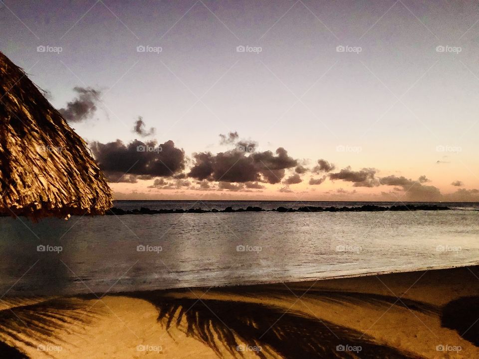 Palm tree branches on the beach shadows 