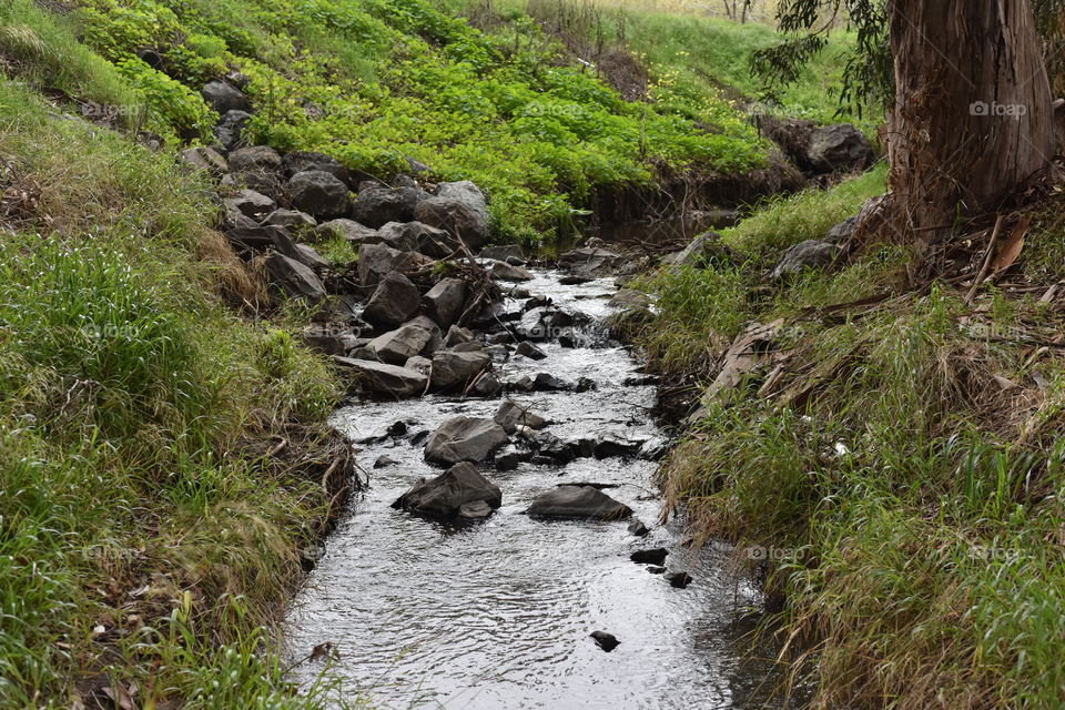 Prespective view of a stream