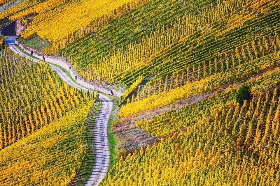 Autumn Colorful Moselle Vineyards Travel Most Beautiful Places in Germany 