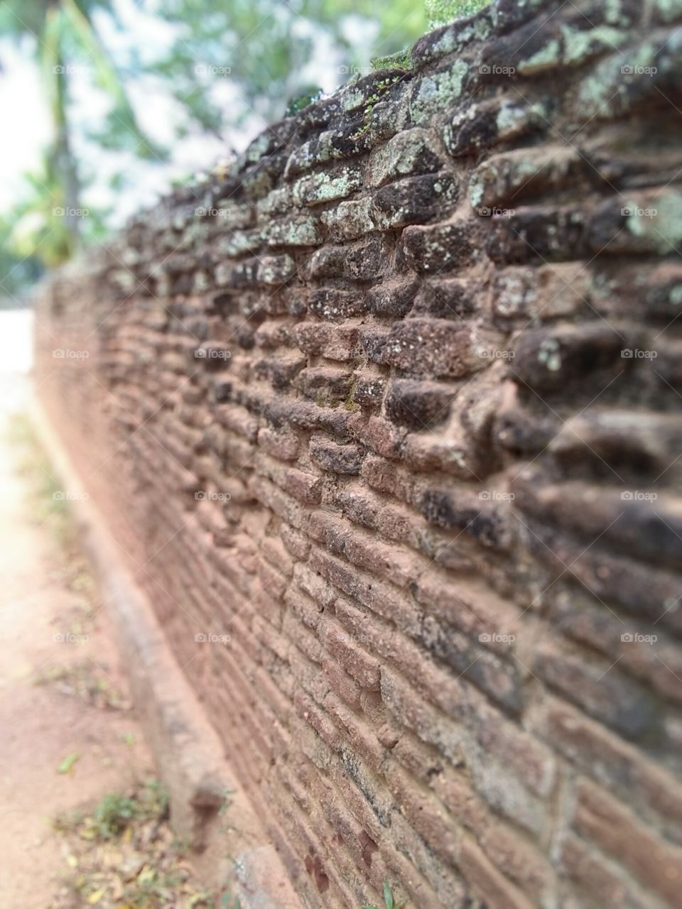 Ancient wall