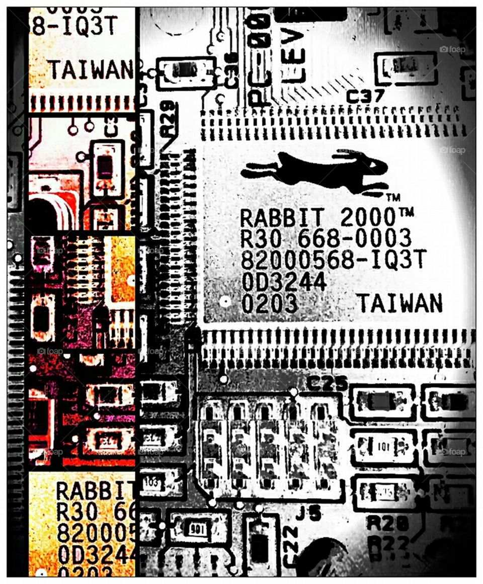 rabbit technology