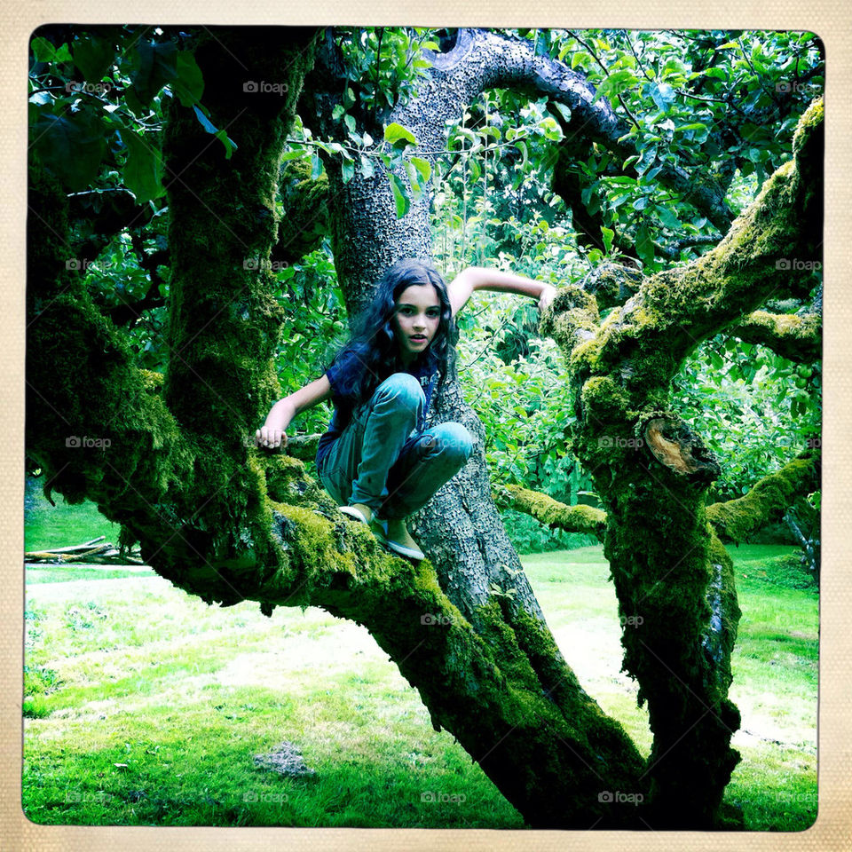 Nico the Spider Monkey