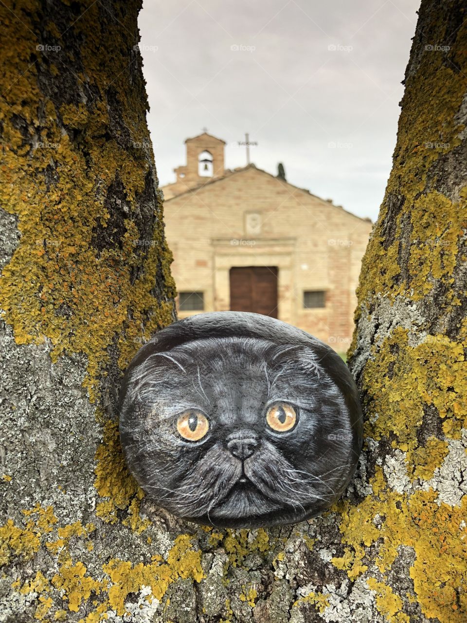 Stone cat on a tree front of the ancient church of Santa Maria della Petrella of the XV century, located in the district with the same name next to Ripatransone, Piceno county, Marche region, Italy