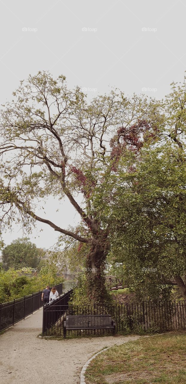 Walking together on the bridge