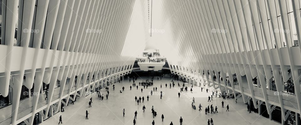 The Oculus