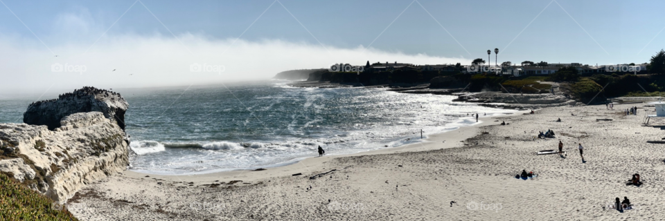 This is Natural State Bridges State Beach in Santa Cruz. It was so wonderful and chill, we stayed for hours just watching the waves rolling in from the picnic tables which are under some trees with branches that drape down like a curtain