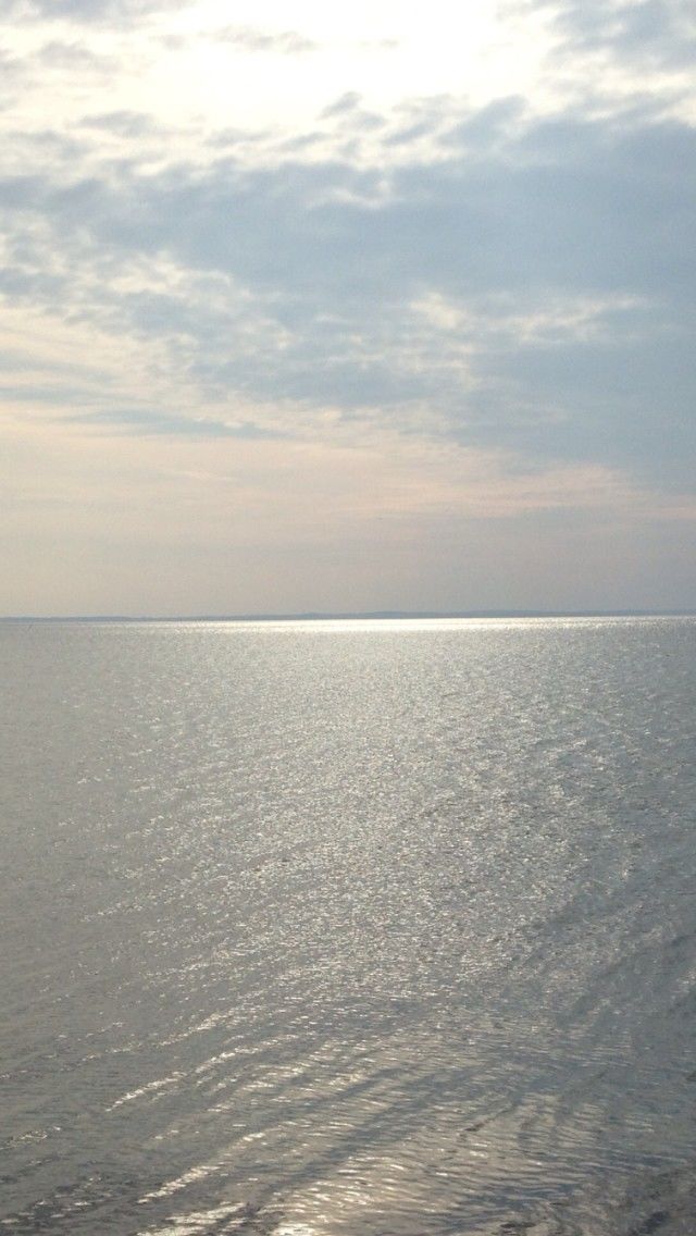 Mare