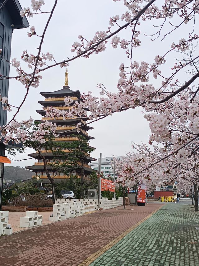 Colors of spring