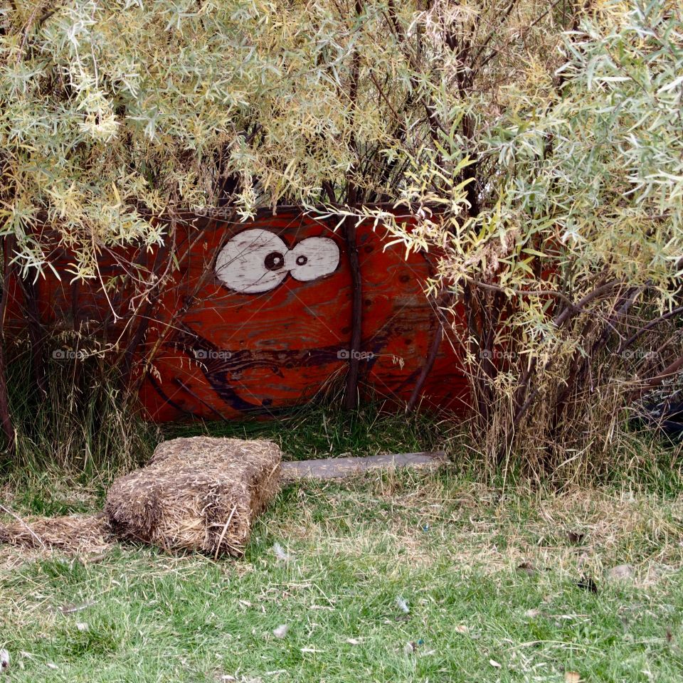 A happy orange pumpkin face painted on a large piece of plywood at the edge of trees and bushes to greet happy children at the pumpkin patch. 