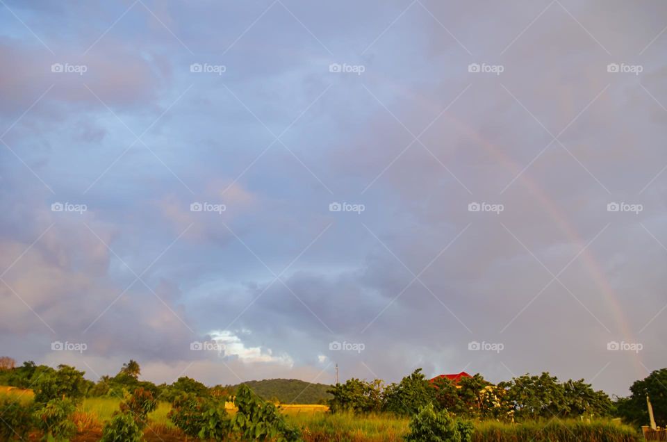 Evening Sunlight After Rain