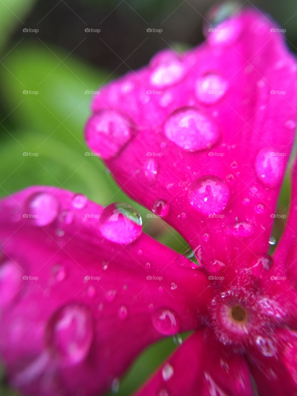 Raindrop