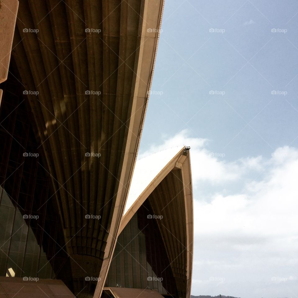 Sydney opera house 