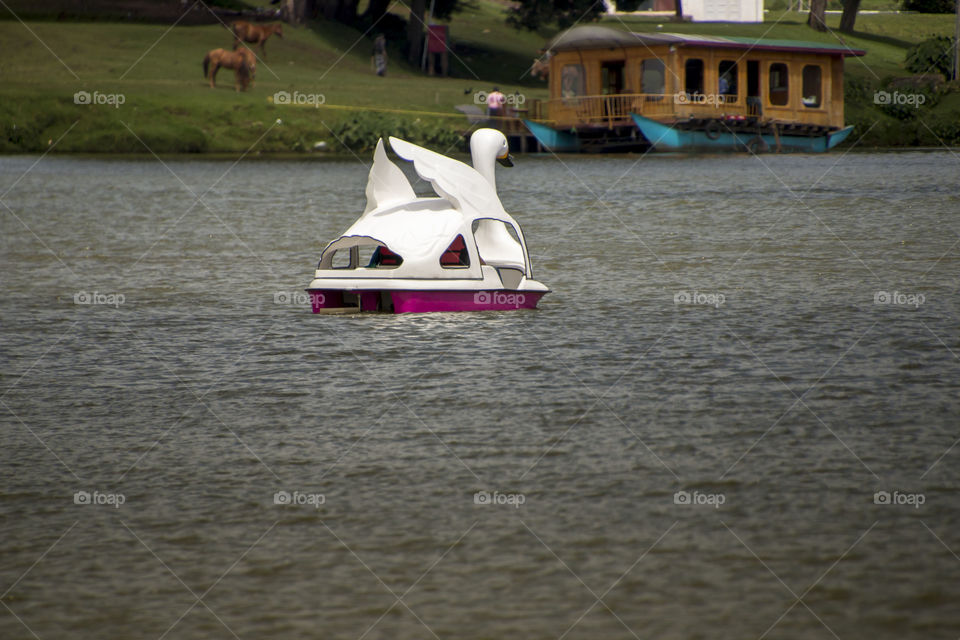 Autumn rain reflection