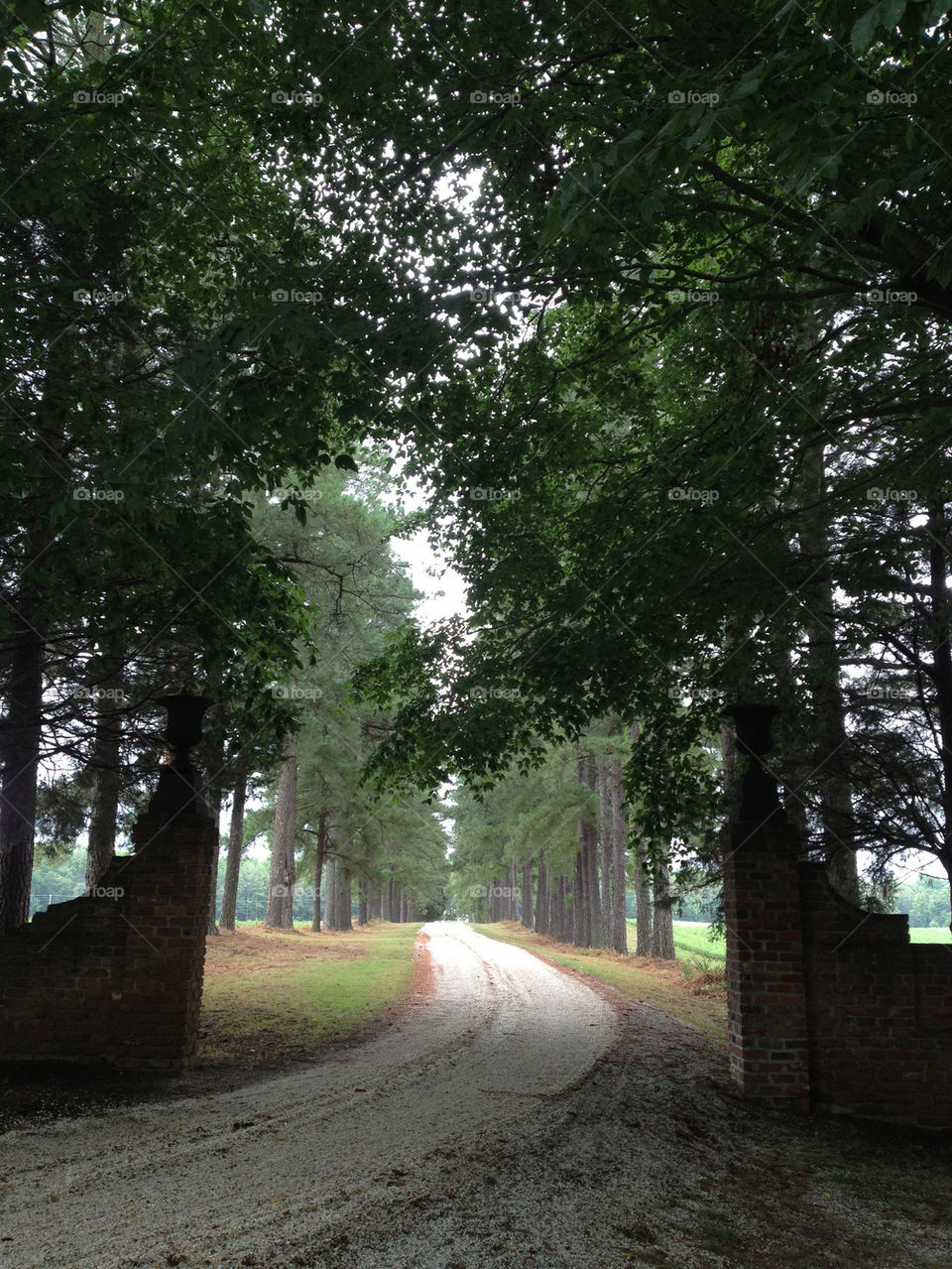 trees road brick country by hskrzfan34