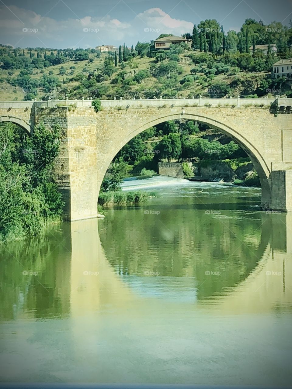 Reflection in the water