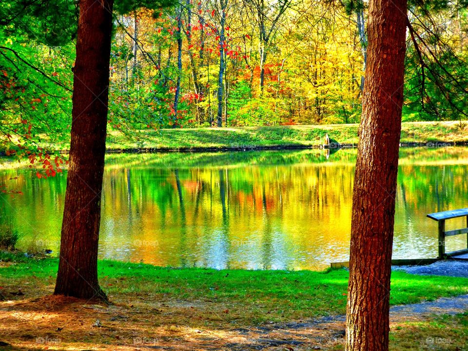 Fall lake view in the forest in southern Indiana 