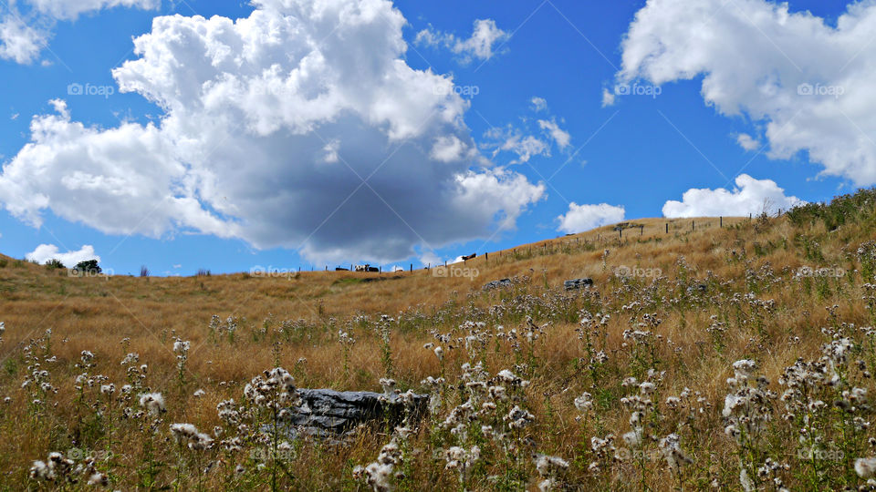 View of Waitomo New Zealand countryside