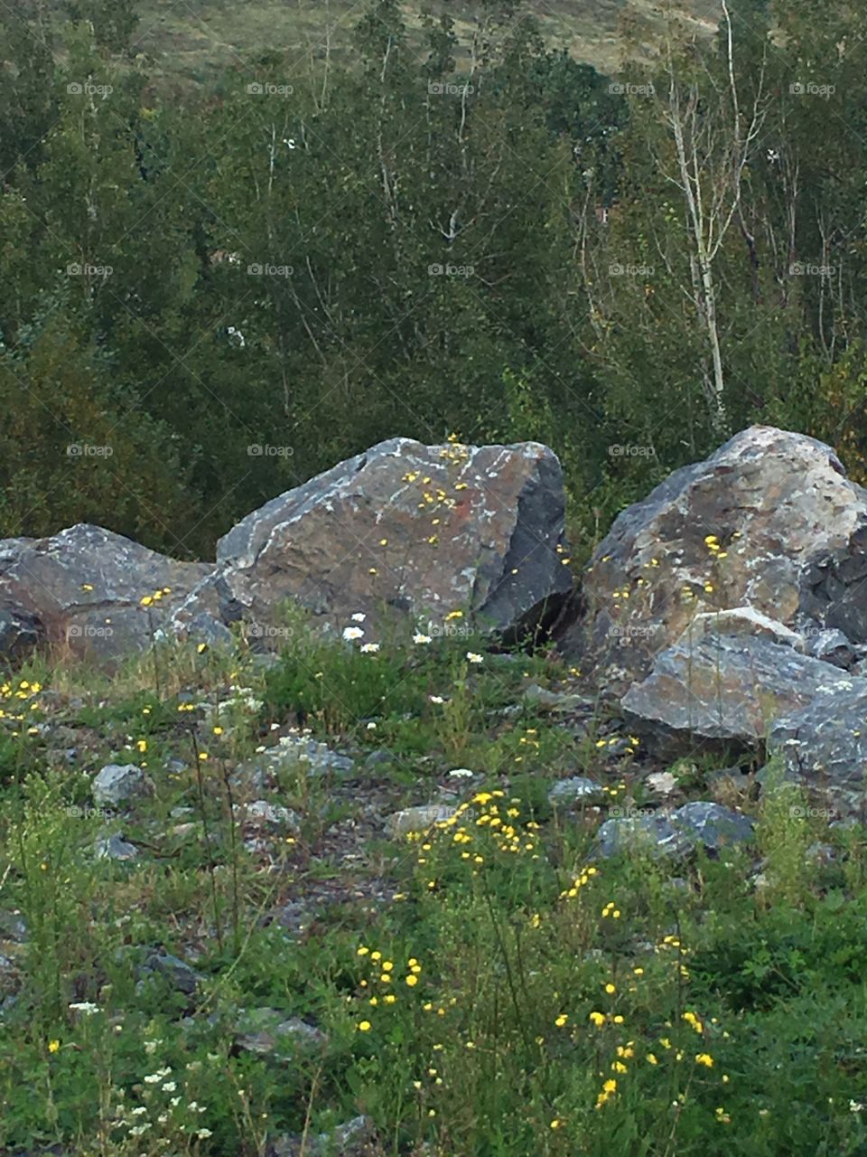 Rocks around the big nickel in Sudbury Ontario 