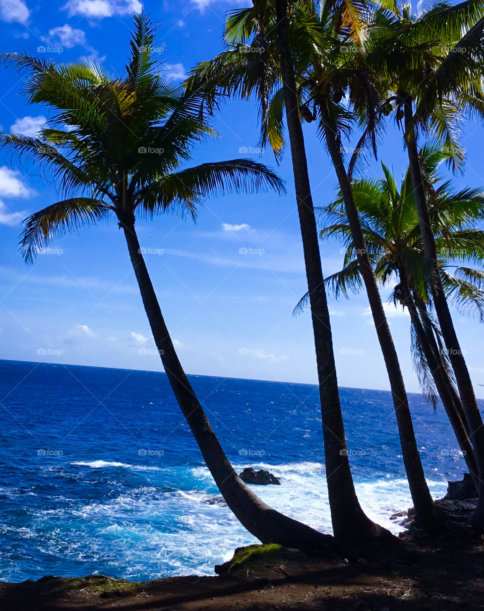 Bright sunny day in Hawaii