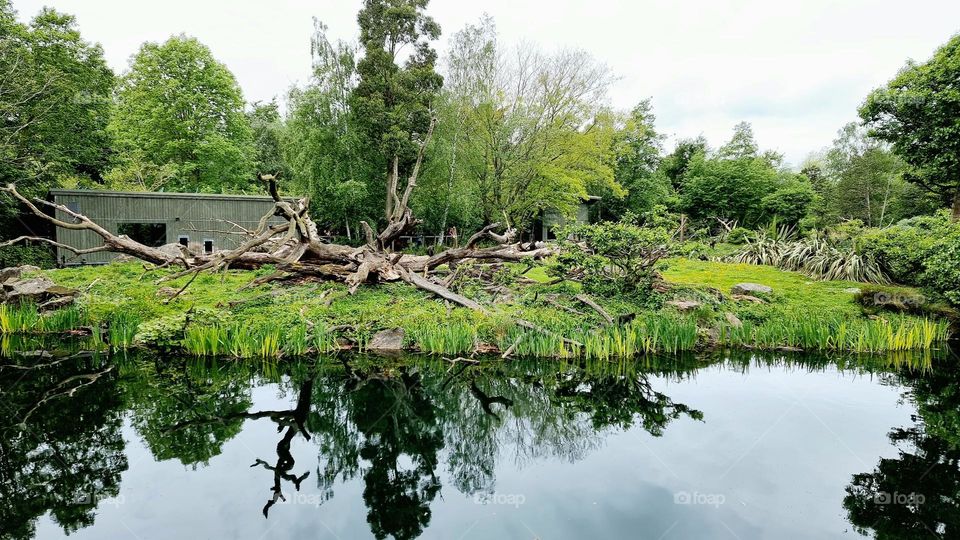 Beside the lake