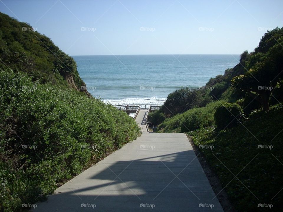 Path to the ocean. 