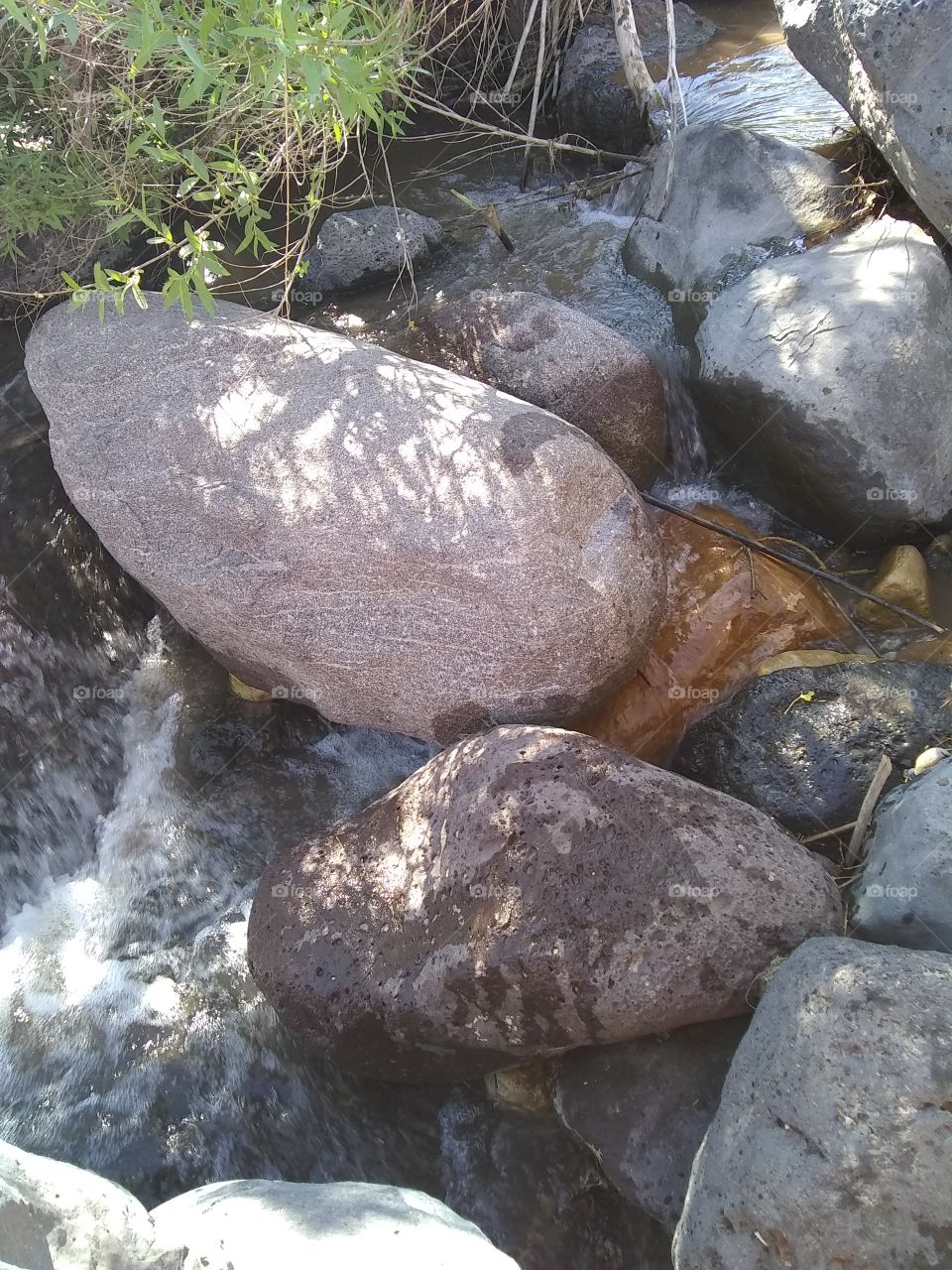 rocks