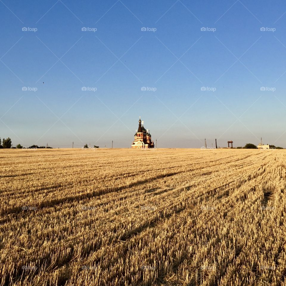 Wheat field and church 