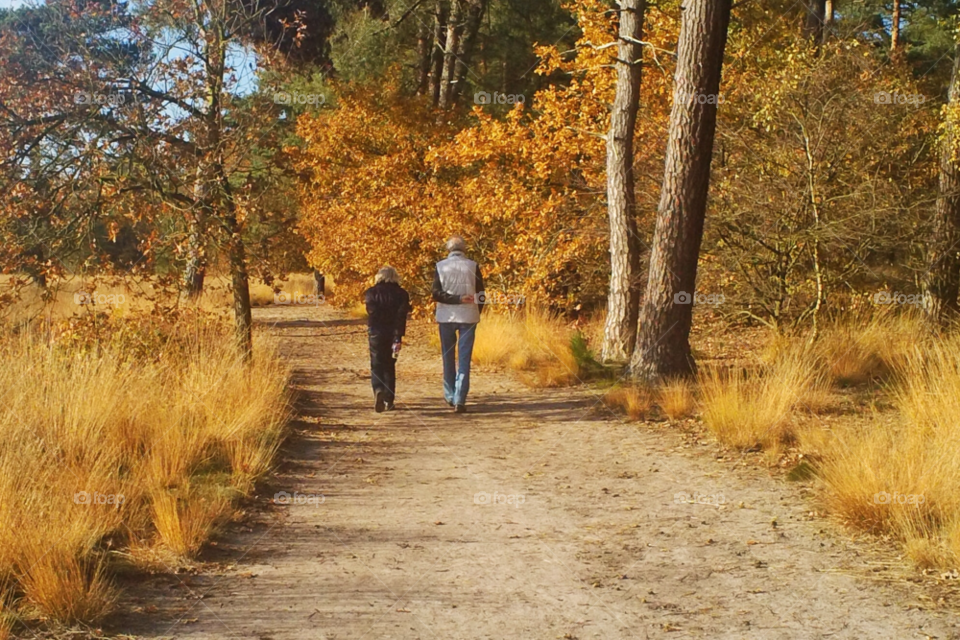 people nature trees forest by twilite