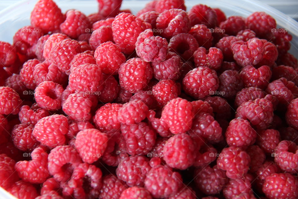Raspberries in bowl