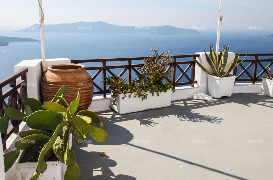 Terrace with cactus plants. 