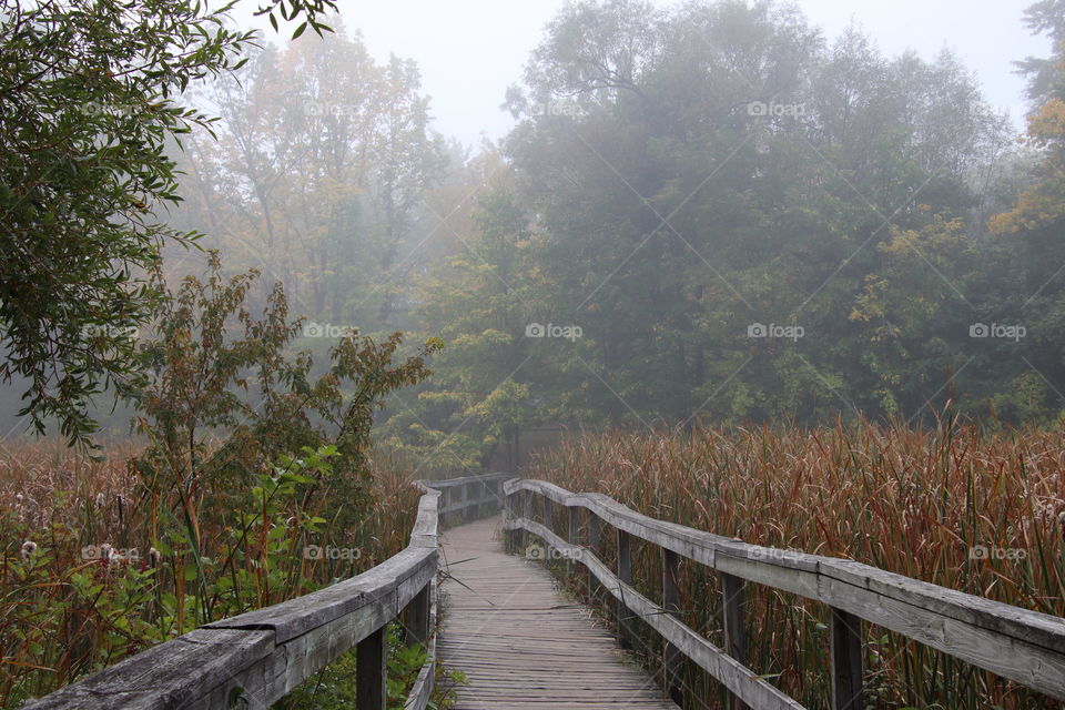 Boardwalk on a misty morning