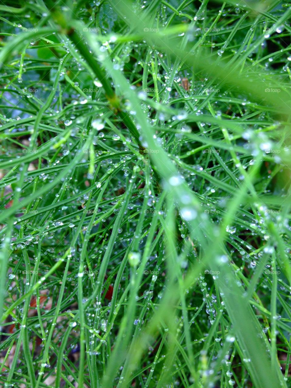 Raindrops keep falling...