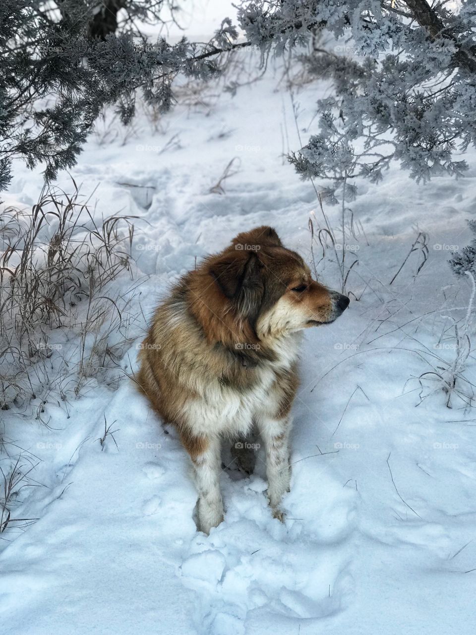 Getting a bit grouchy while Mom takes pics. 😂