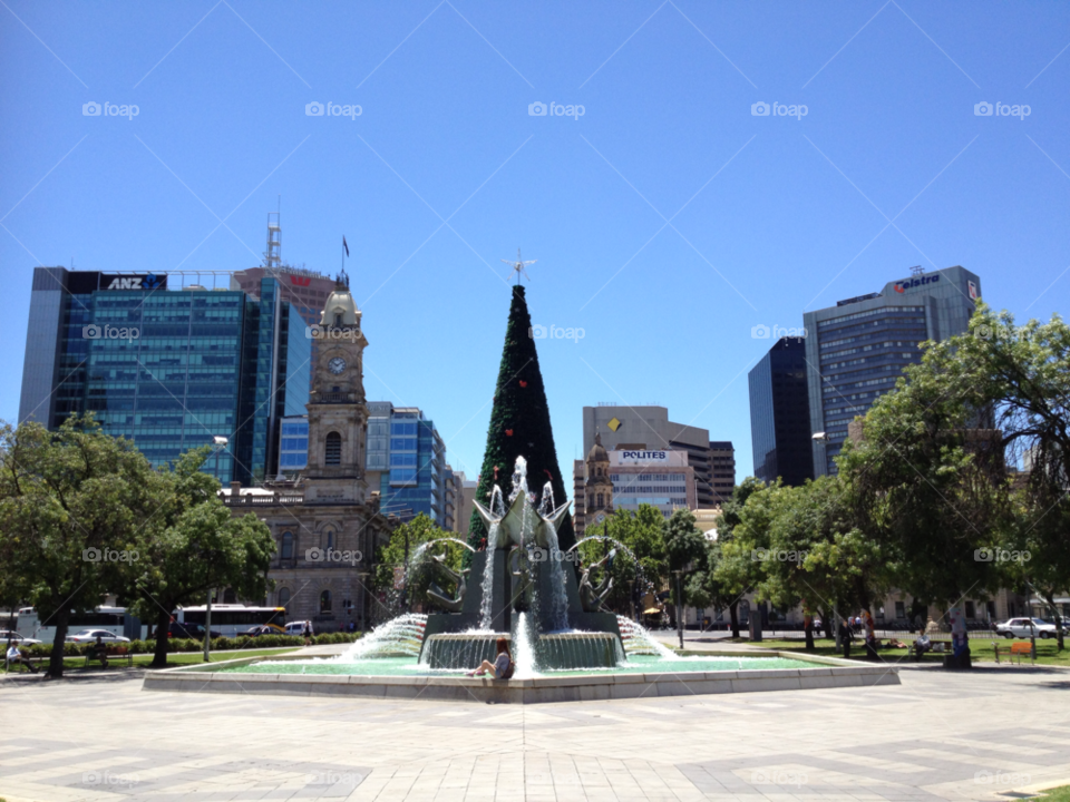 city tree trees water by kshapley