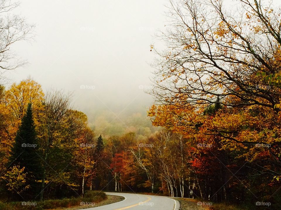 Grafton Notch State Park
