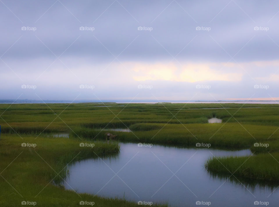 I love these colors - the soft greens, blues and greys of the marsh during the summer at dusk. 