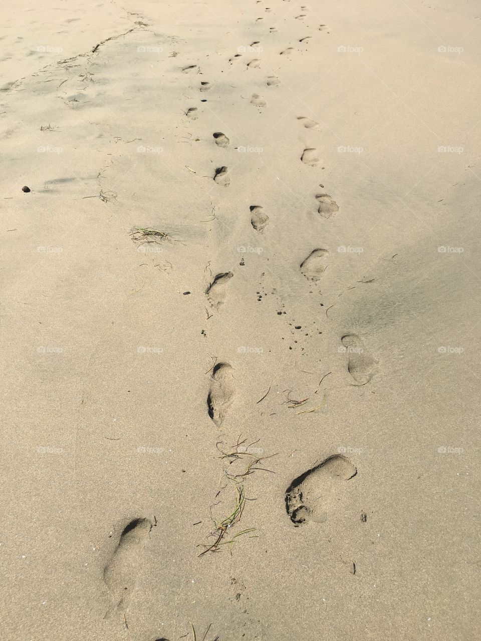 Footprint on the beach 🌊 