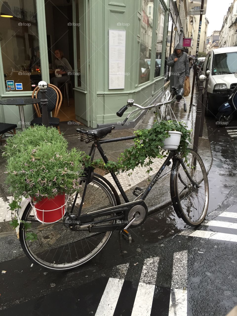 Rain in Paris . Flower Bike 