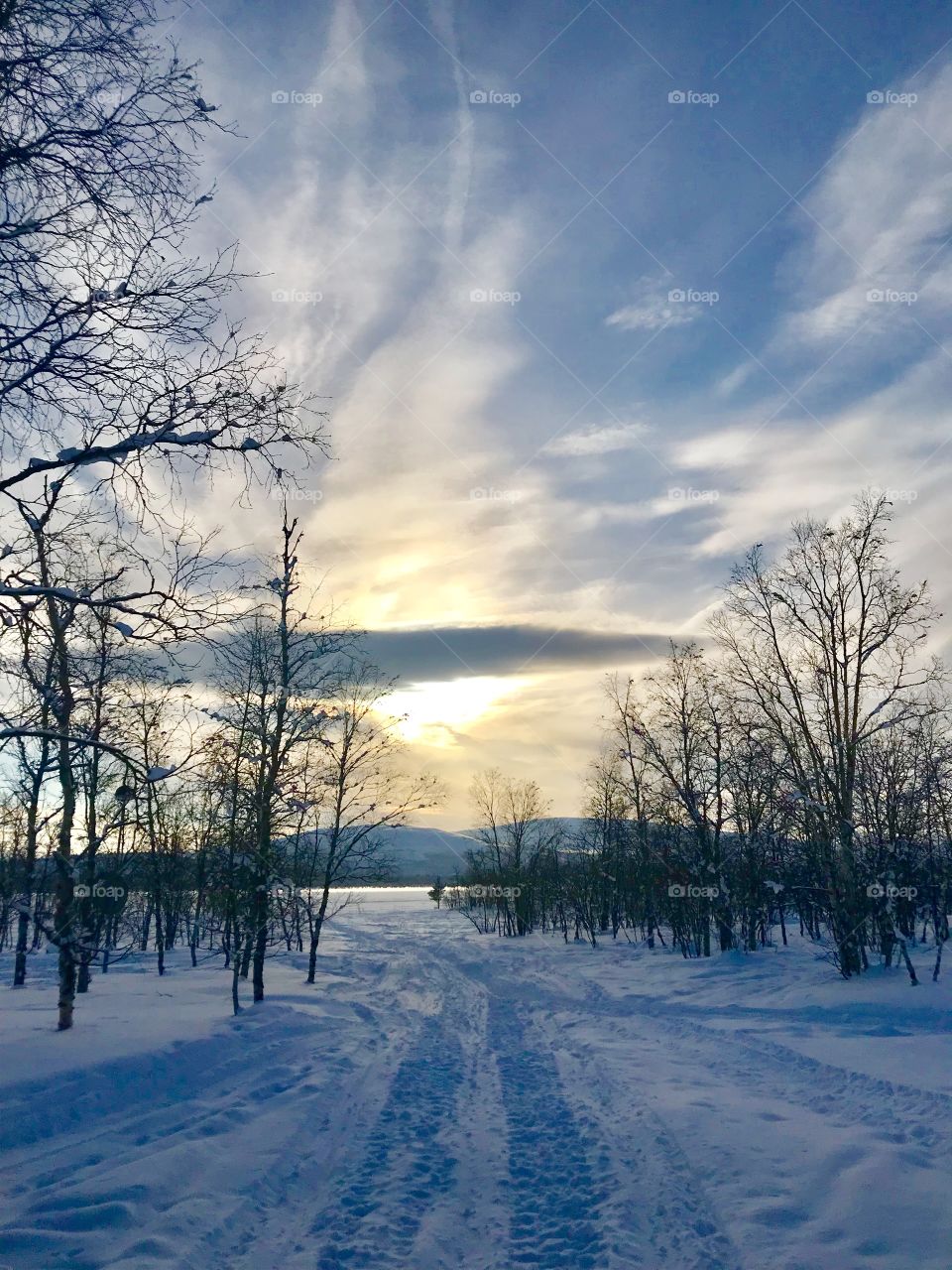 Winterday in march 2018, puoltsa, kiruna sweden
