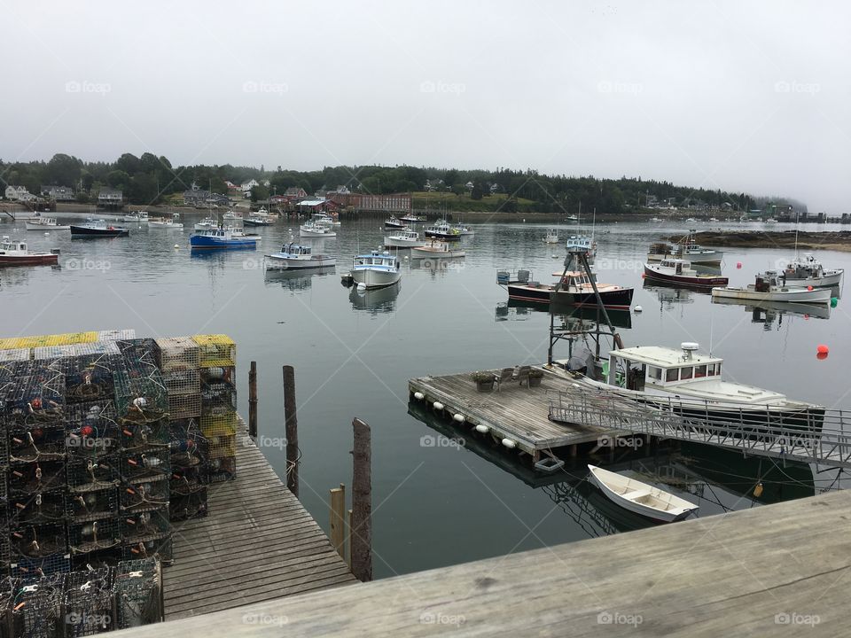 Harbor in Maine