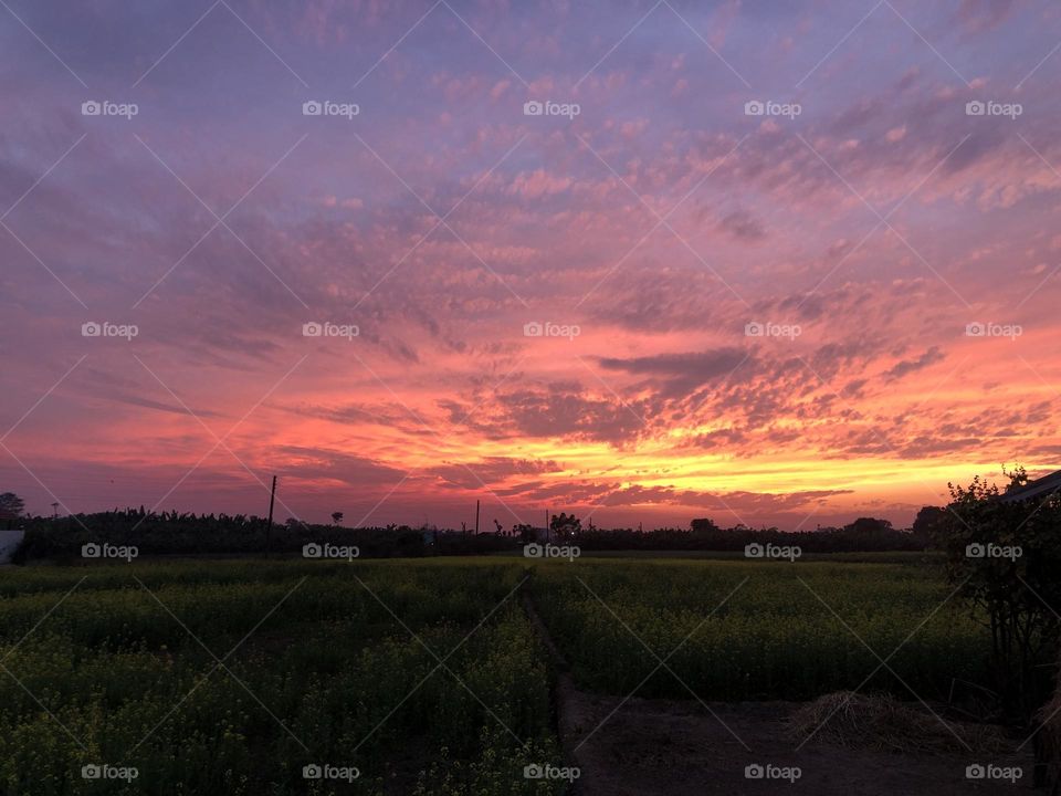 Nature is everything 